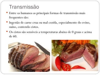 Transmissão Entre os humanos as principais formas de transmissão mais frequentes são: Ingestão de carne crua ou mal cozida, especialmente do ovino, suíno, contendo cistos. Os cistos são sensíveis a temperaturas abaixo de 0 graus e acima de 60. 