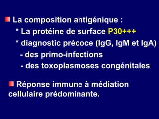 La composition antigénique :
  * La protéine de surface P30+++
  * diagnostic précoce (IgG, IgM et IgA)
    - des primo-infections
    - des toxoplasmoses congénitales

  Réponse immune à médiation
cellulaire prédominante.
 