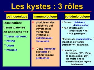 Les kystes : 3 rôles
  pathogénique     immunologique        épidémiologique

localisation:       produisent des     formes: résistance
                    antigènes qui              + dissémination
tissus pauvres      traversent la      non affectés par:
                                           - température < 45°
en anticorps +++    membrane
                                           - HCL gastrique.
                    kystique et
 * tissu nerveux    entretiennent     Formes de contamination:
 * rétine           l’immunité.       ingestion de viande
 * cœur                               (mouton+++) saignante.
                     Cette immunité
 * muscle                              détruits par:
                    est totale et        - la cuisson (56°, 15mn)
                    définitivement       - la congélation (-20°)
                    protectrice.         - les micro-ondes
                                         - l’irradiation par rayons
                                                 ionisantes
 
