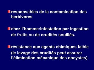 responsables de la contamination des
herbivores

chez l’homme:infestation par ingestion
de fruits ou de crudités souillés.

résistance aux agents chimiques faible
(le lavage des crudités peut assurer
l’élimination mécanique des oocystes).
 