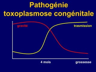 Pathogénie
toxoplasmose congénitale
   gravité            trasmission




             4 mois    grossesse
 