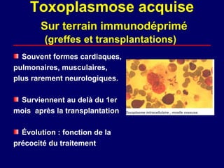 Toxoplasmose acquise
       Sur terrain immunodéprimé
        (greffes et transplantations)
  Souvent formes cardiaques,
pulmonaires, musculaires,
plus rarement neurologiques.

 Surviennent au delà du 1er
mois après la transplantation

  Évolution : fonction de la
précocité du traitement
 