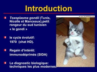 Introduction
Toxoplasma gondii (Tunis,
Nicolle et Manceaux),petit
rongeur du sud tunisien
« le gondi »

le cycle évolutif:
1970 (chat HD).

Regain d’intérêt:
immunodéprimés (SIDA)

Le diagnostic biologique:
techniques les plus modernes.
 