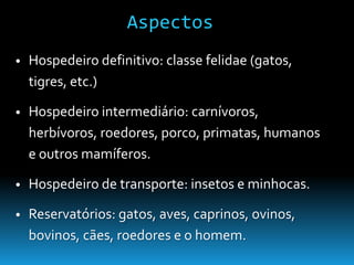 Aspectos
• Hospedeiro definitivo: classe felidae (gatos,
tigres, etc.)
• Hospedeiro intermediário: carnívoros,
herbívoros, roedores, porco, primatas, humanos
e outros mamíferos.
• Hospedeiro de transporte: insetos e minhocas.
• Reservatórios: gatos, aves, caprinos, ovinos,
bovinos, cães, roedores e o homem.
 