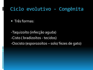 Ciclo evolutivo - Congênita
 Três formas:
-Taquizoíto (infecção aguda)
-Cisto ( bradizoítos - tecidos)
-Oocisto (esporozoítos – solo/ fezes de gato)
 