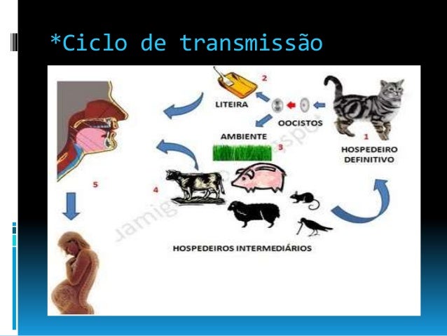 Parasitas dos remédios de gente de tratamento de pessoa