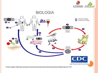 BIOLOGIA

Fonte imagem:http//www.simposiumvet.pt/utrosconteudos/conteudossimposiumdetais?pkcont=122

 