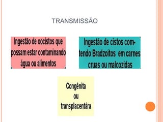 TRANSMISSÃO

 
