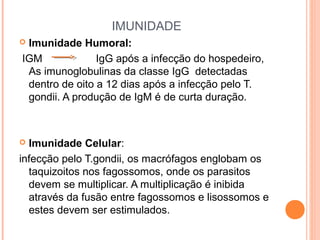 IMUNIDADE
Imunidade Humoral:
IGM
IgG após a infecção do hospedeiro,
As imunoglobulinas da classe IgG detectadas
dentro de oito a 12 dias após a infecção pelo T.
gondii. A produção de IgM é de curta duração.



Imunidade Celular:
infecção pelo T.gondii, os macrófagos englobam os
taquizoitos nos fagossomos, onde os parasitos
devem se multiplicar. A multiplicação é inibida
através da fusão entre fagossomos e lisossomos e
estes devem ser estimulados.


 