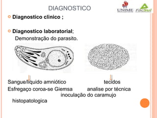 DIAGNOSTICO


Diagnostico clinico ;



Diagnostico laboratorial;
Demonstração do parasito.

Sangue/liquido amniótico
tecidos
Esfregaço coroa-se Giemsa
analise por técnica
inoculação do caramujo
histopatologica

 