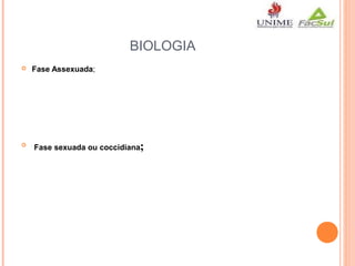 BIOLOGIA




Fase Assexuada;

Fase sexuada ou coccidiana;

 