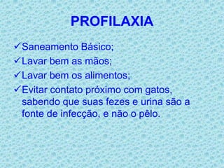 PROFILAXIA
Saneamento Básico;
Lavar bem as mãos;
Lavar bem os alimentos;
Evitar contato próximo com gatos,
sabendo que suas fezes e urina são a
fonte de infecção, e não o pêlo.
 