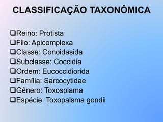 CLASSIFICAÇÃO TAXONÔMICA
Reino: Protista
Filo: Apicomplexa
Classe: Conoidasida
Subclasse: Coccidia
Ordem: Eucoccidiorida
Família: Sarcocytidae
Gênero: Toxosplama
Espécie: Toxopalsma gondii
 