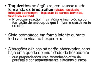 • Taquizoítos no órgão reproduz assexuada
formando os bradizoítos (cistos teciduais –
infecção do homem – ingestão de carnes bovinos,
caprinos, suínos)
• Provocam reação inflamatória e imunológica com
formação de anticorpos que limitam o crescimento
do cisto;
• Cisto permanece em forma latente durante
toda a sua vida no hospedeiro.
• Alterações clínicas só serão observadas caso
haja uma queda de imunidade do hospedeiro
• que proporcionará uma reprodução ativa do
parasita e conseqüentemente sintomas clínicos.
 