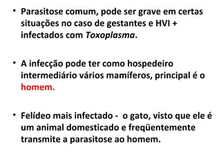 • Parasitose comum, pode ser grave em certas
situações no caso de gestantes e HVI +
infectados com Toxoplasma.
• A infecção pode ter como hospedeiro
intermediário vários mamíferos, principal é o
homem.
• Felídeo mais infectado - o gato, visto que ele é
um animal domesticado e freqüentemente
transmite a parasitose ao homem.
 