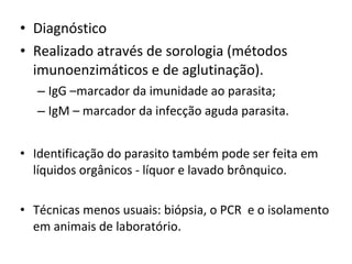 • Diagnóstico
• Realizado através de sorologia (métodos
imunoenzimáticos e de aglutinação).
– IgG –marcador da imunidade ao parasita;
– IgM – marcador da infecção aguda parasita.
• Identificação do parasito também pode ser feita em
líquidos orgânicos - líquor e lavado brônquico.
• Técnicas menos usuais: biópsia, o PCR e o isolamento
em animais de laboratório.
 