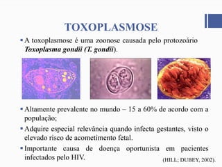 TOXOPLASMOSE
A toxoplasmose é uma zoonose causada pelo protozoário
Toxoplasma gondii (T. gondii).
Altamente prevalente no mundo – 15 a 60% de acordo com a
população;
Adquire especial relevância quando infecta gestantes, visto o
elevado risco de acometimento fetal.
Importante causa de doença oportunista em pacientes
infectados pelo HIV. (HILL; DUBEY, 2002).
 