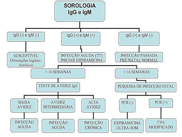 Toxoplasmose e Rúbeola