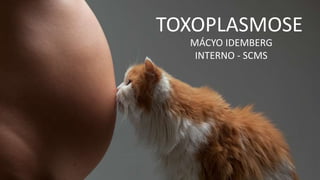 TOXOPLASMOSE
MÁCYO IDEMBERG
INTERNO - SCMS
 