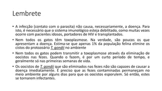 Lembrete
• A infecção (contato com o parasita) não causa, necessariamente, a doença. Para
isto, é necessário que o sistema imunológico esteja debilitado, como muitas vezes
ocorre com pacientes idosos, portadores de HIV e transplantados.
• Nem todos os gatos têm toxoplasmose. Na verdade, são poucos os que
apresentam a doença. Estima-se que apenas 1% da população felina elimine os
cistos do protozoário T. gondii no ambiente
• Nem todos os gatos podem transmitir a toxoplasmose através da eliminação de
oocistos nas fezes. Quando o fazem, é por um curto período de tempo, e
geralmente só nas primeiras semanas de vida.
• Os oocistos de T. gondii que são eliminados nas fezes não são capazes de causar a
doença imediatamente. É preciso que as fezes contaminadas permaneçam no
meio ambiente por alguns dias para que os oocistos esporulem. Só então, estes
se tornarem infectantes.
 