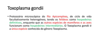 Toxoplasma gondii
• Protozoário microscópico do filo Apicomplexa, de ciclo de vida
facultativamente heterogéneo, tendo os felídeos como hospedeiros
definitivos, enquanto que as outras espécies de mamíferos e as aves
funcionam como hospedeiros intermediários. O Toxoplasma gondii é
a única espécie conhecida do gênero Toxoplasma.
 