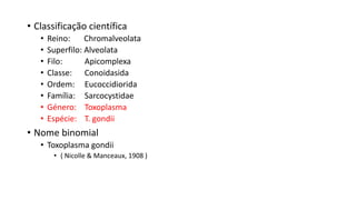 • Classificação científica
• Reino: Chromalveolata
• Superfilo: Alveolata
• Filo: Apicomplexa
• Classe: Conoidasida
• Ordem: Eucoccidiorida
• Família: Sarcocystidae
• Género: Toxoplasma
• Espécie: T. gondii
• Nome binomial
• Toxoplasma gondii
• ( Nicolle & Manceaux, 1908 )
 