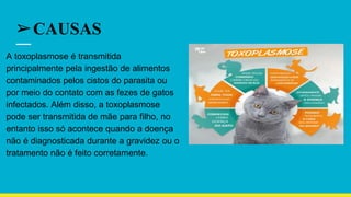 ➢CAUSAS
A toxoplasmose é transmitida
principalmente pela ingestão de alimentos
contaminados pelos cistos do parasita ou
por meio do contato com as fezes de gatos
infectados. Além disso, a toxoplasmose
pode ser transmitida de mãe para filho, no
entanto isso só acontece quando a doença
não é diagnosticada durante a gravidez ou o
tratamento não é feito corretamente.
 