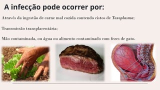 A infecção pode ocorrer por:
Através da ingestão de carne mal cozida contendo cistos de Toxoplasma;
Transmissão transplacentária;
Mão contaminada, ou água ou alimento contaminado com fezes de gato.
 