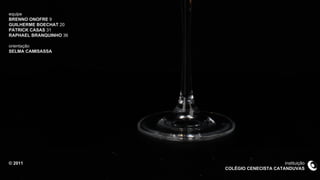 equipe BRENNO ONOFRE  9 GUILHERME BOECHAT  20 PATRICK CASAS  31 RAPHAEL BRANQUINHO  36 orientação SELMA CAMISASSA © 2011 instituição COLÉGIO CENECISTA CATANDUVAS 