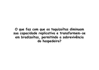 O que faz com que os taquizoítas diminuam
sua capacidade replicativa e transformem-se
em bradizoítas, permitindo a sobrevivência
do hospedeiro?
 