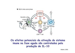 Os efeitos potenciais da ativação do sistema
imune na fase aguda são controlados pela
produção de IL-10
Aliberti, 2005
(-) (-)
 