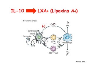 IL-10 LXA4 (Lipoxina A4)
Aliberti, 2005
(-)
 