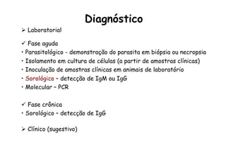 Diagnóstico
Ø  Laboratorial
ü  Fase aguda
• Parasitológico - demonstração do parasita em biópsia ou necropsia
• Isolamento em cultura de células (a partir de amostras clínicas)
• Inoculação de amostras clínicas em animais de laboratório
• Sorológico – detecção de IgM ou IgG
• Molecular – PCR
ü  Fase crônica
• Sorológico – detecção de IgG
Ø  Clínico (sugestivo)
 