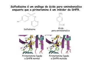 Ácido
para-aminobenzóico
Sulfadiazina
Sulfadiazina é um análogo do ácido para-aminobenzóico
enquanto que a pirimetamina é um inibidor da DHFR.
Pirimetamina ligada
a DHFR normal
Pirimetamina ligada
a DHFR mutada
 