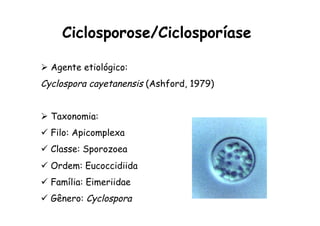 Ø  Agente etiológico:
Cyclospora cayetanensis (Ashford, 1979)
Ø  Taxonomia:
ü  Filo: Apicomplexa
ü  Classe: Sporozoea
ü  Ordem: Eucoccidiida
ü  Família: Eimeriidae
ü  Gênero: Cyclospora
Ciclosporose/Ciclosporíase
 