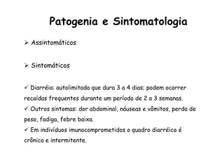 Ø  Assintomáticos
Ø  Sintomáticos
ü  Diarréia: autolimitada que dura 3 a 4 dias; podem ocorrer
recaídas frequentes durante um período de 2 a 3 semanas.
ü  Outros sintomas: dor abdominal, náuseas e vômitos, perda de
peso, fadiga, febre baixa.
ü  Em indivíduos imunocomprometidos o quadro diarréico é
crônico e intermitente.
Patogenia e Sintomatologia
 