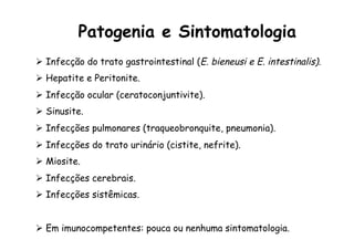 Ø  Infecção do trato gastrointestinal (E. bieneusi e E. intestinalis).
Ø  Hepatite e Peritonite.
Ø  Infecção ocular (ceratoconjuntivite).
Ø  Sinusite.
Ø  Infecções pulmonares (traqueobronquite, pneumonia).
Ø  Infecções do trato urinário (cistite, nefrite).
Ø  Miosite.
Ø  Infecções cerebrais.
Ø  Infecções sistêmicas.
Ø  Em imunocompetentes: pouca ou nenhuma sintomatologia.
Patogenia e Sintomatologia
 