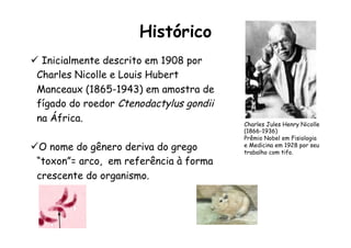 Histórico
ü Inicialmente descrito em 1908 por
Charles Nicolle e Louis Hubert
Manceaux (1865-1943) em amostra de
fígado do roedor Ctenodactylus gondii
na África.
ü O nome do gênero deriva do grego
“toxon”= arco, em referência à forma
crescente do organismo.
Charles Jules Henry Nicolle
(1866-1936)
Prêmio Nobel em Fisiologia
e Medicina em 1928 por seu
trabalho com tifo.
 