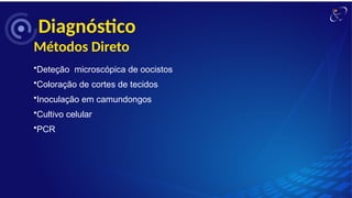 •Deteção microscópica de oocistos
•Coloração de cortes de tecidos
•Inoculação em camundongos
•Cultivo celular
•PCR
Diagnóstico
Métodos Direto
 