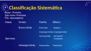 Classificação Sistemática
Classe Ordem Família Gênero
Eucoccidiida Eimeriidae Isospora
Cryptosporidiidae Cryptosporidium
Sarcocystidae Sarcosystis
Sporozoa Toxoplasma
Hemosporidiida Plasmodiidae Plasmodium
Reino : Protista
Sub-reino: Protozoa
Filo: Apicomplexa
 
