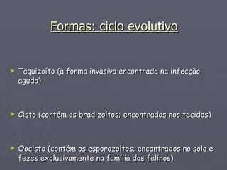 Formas: ciclo evolutivo Taquizoíto (a forma invasiva encontrada na infecção aguda) Cisto (contém os bradizoítos; encontrados nos tecidos) Oocisto (contém os esporozoítos; encontrados no solo e fezes exclusivamente na família dos felinos) 