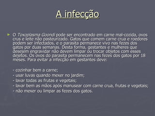 A infecção O  Toxoplasma Goondi  pode ser encontrado em carne mal-cozida, ovos crus e leite não pasteurizado. Gatos que comem carne crua e roedores podem ser infectados, e o parasita permanece vivo nas fezes dos gatos por duas semanas. Desta forma, gestantes e mulheres que desejem engravidar não devem limpar ou trocar objetos com esses dejetos. Os ovos do parasita permanecem nas fezes dos gatos por 18 meses. Para evitar a infecção em gestantes deve: - cozinhar bem a carne; - usar luvas quando mexer no jardim; - lavar todas as frutas e vegetais; - lavar bem as mãos após manusear com carne crua, frutas e vegetais; - não mexer ou limpar as fezes dos gatos. 
