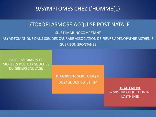 Les parasites dans les poumons comme sappelle la maladie