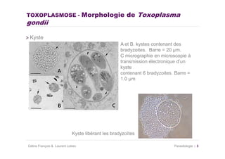 TOXOPLASMOSE - Morphologie de                                 Toxoplasma
gondii

 Kyste
                                                    A et B. kystes contenant des
                                                    bradyzoites. Barre = 20 µm.
                                                    C micrographie en microscopie à
                                                    transmission électronique d’un
                                                    kyste
                                                    contenant 6 bradyzoites. Barre =
                                                    1.0 µm




                             Kyste libérant les bradyzoïtes

Céline François & Laurent Lokiec                                            Parasitologie   3
 