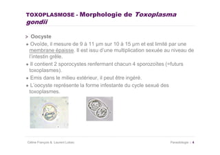 TOXOPLASMOSE - Morphologie de                Toxoplasma
gondii

  Oocyste
  Ovoïde, il mesure de 9 à 11 µm sur 10 à 15 µm et est limité par une
 membrane épaisse. Il est issu d’une multiplication sexuée au niveau de
 l’intestin grêle.
  Il contient 2 sporocystes renfermant chacun 4 sporozoïtes (=futurs
 toxoplasmes).
  Emis dans le milieu extérieur, il peut être ingéré.
  L’oocyste représente la forme infestante du cycle sexué des
 toxoplasmes.




Céline François & Laurent Lokiec                            Parasitologie   4
 