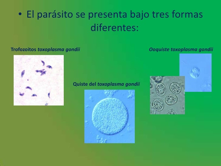 Que y como sacar las lombrices rápidamente y