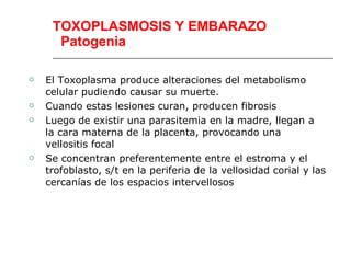 TOXOPLASMOSIS Y EMBARAZO
      Patogenia

   El Toxoplasma produce alteraciones del metabolismo
    celular pudiendo causar su muerte.
   Cuando estas lesiones curan, producen fibrosis
   Luego de existir una parasitemia en la madre, llegan a
    la cara materna de la placenta, provocando una
    vellositis focal
   Se concentran preferentemente entre el estroma y el
    trofoblasto, s/t en la periferia de la vellosidad corial y las
    cercanías de los espacios intervellosos
 