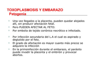 TOXOPLASMOSIS Y EMBARAZO
 Patogenia
   Una vez llegados a la placenta, pueden quedar alojados
    allí, sin producir afectación fetal.
   Pero PUEDEN AFECTAR AL FETO:
   Por embolia de tejido coriónico necrótico e infectado.

   Por infección secundaria del L.A el cual es aspirado y
    deglutido por el feto.
   El grado de afectación es mayor cuanto más precoz se
    adquiere la infección
   En la primoinfección durante el embarazo, el parásito
    puede invadir la placenta y el embrión y provocar
    abortos.
 