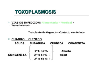 TOXOPLASMOSIS

   VIAS DE INFECCION: Alimentaria – Vertical -
            INFECCION
    Transfusional-


                 Trasplante de Organos - Contacto con felinos

   CUADRO       CLINICO
      AGUDA      SUBAGUDA         CRONICA       CONGENITA


                     1°T: 17% :           Aborto
CONGENITA            2°T: 18% :          RCIU
                     3°T: 65% :
 