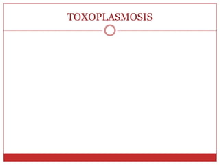 Formas de expresión